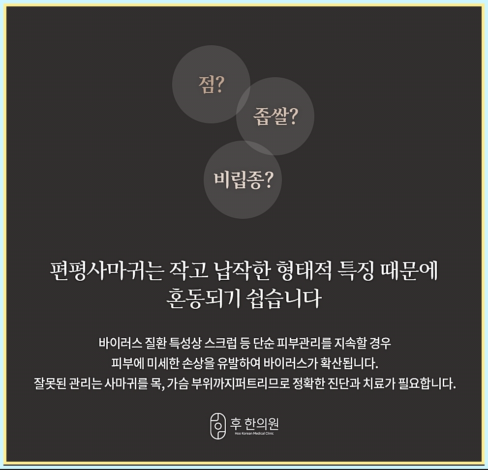 대전편평사마귀 혼동을 주기 쉬운 질환에 대한 그림